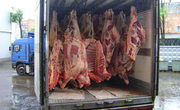 Продажа высококачественного охлажденного и замороженного мяса 