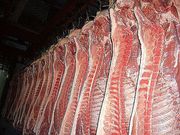продаем мясо свинины и говядины в любом виде